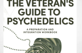 Publication: The Veterans Guide To Psychedelics