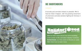 Media Report: BC Budtenders Union secures contract wins for Vancouver cannabis store employees