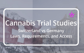 Comparing Cannabis Trial Studies in Germany and Switzerland: Laws, Requirements, and Access