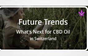 Future Trends: What's Next for CBD Oil in Switzerland