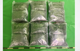 Hong Kong Customs yesterday (October 27) detected a drug trafficking case involving baggage concealment at Hong Kong International Airport and seized about 10 kilograms of suspected cannabis buds