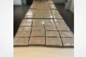 RCMP seize 73 kilograms of cocaine during traffic stop east of Sicamous, B.C.