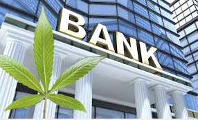 Marijuana Moment: A Record Number Of Banks Are Working With Marijuana Businesses As Rescheduling Looms, New Federal Data Shows