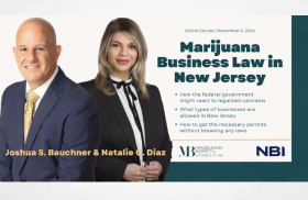 Course on Marijuana Business Law in New Jersey presented by the National Business Institute (NBI, Inc.).