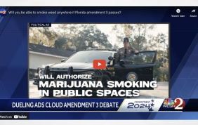 Will you be able to smoke weed anywhere if Florida amendment 3 passes?  -  WESH 2 News