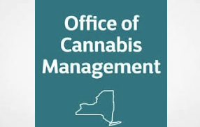 NY Cannabis Control Board Updates 31 October 2024