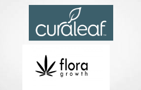 Media Report: Curaleaf Denies Having Supply Agreement With Flora Growth for German Market After Flora Growth Say They Do In Press Release