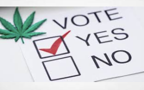 Reason Article Summarizes Cannabis Ballot Initiatives In Florida,S.Dakota, N.Dakota, Nebraska & Psychedelics Ballot In Massachusetts