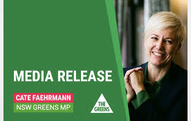 Press Release - Greens Party NSW: Decriminalisation, pill testing, drug driving laws must be top of agenda for drug summit