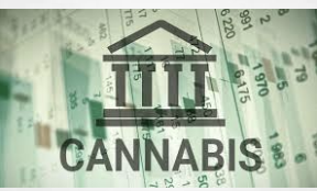 Navigating the Future of California Cannabis Banking: Challenges and Opportunities