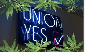 OPB Says .. Oregon Measure 119 "appears" to pass. It will give cannabis workers an easier route to unionize