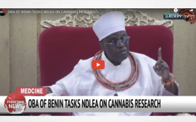 Nigeria - OBA OF BENIN TASKS NDLEA ON CANNABIS RESEARCH