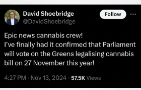 Australia: Federal parliament to vote on Greens adult-use cannabis bill