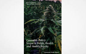 New Publication: Cannabis Policy Impacts Public Health and Health Equity (2024)