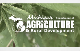 Michigan shuts down industrial hemp program, farmers to operate under USDA rules