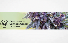 CA: CRITICAL DEADLINE REMINDER! Take action now if you haven't already! - If your provisional license expires in 2025, you must transition to an annual license before you will be eligible to renew.