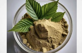 Things To Remember Before Purchasing White Sumatra Kratom and Cannabis