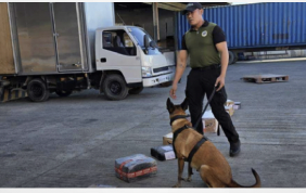 The Philippine Drug Enforcement Agency (PDEA) seized 3 kilos  of suspected dried marijuana leaves