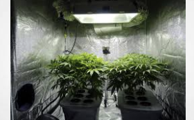 Preventing Water Damage in Your Grow Room