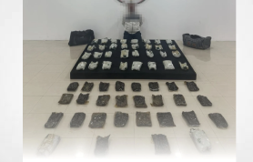 MoI arrests Egyptian national, seizes 60 kilograms of hashish