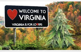 Media Article - The "Adult Share" Issue In Virginia