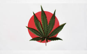 Japan could imprison cannabis users for up to 7 years under new laws