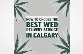 How to Choose the Best Weed Delivery Service in Calgary: Your Complete Guide