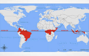 The Equator Is The Best Place To Grow Cannabis Says Linked In Post