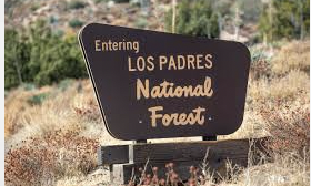 Man Pleads Guilty To Illegal Cannabis Cultivation In Los Padres National Forest