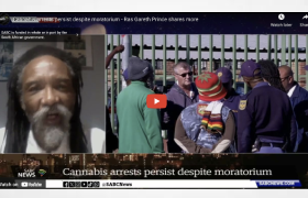 Cannabis arrests persist despite moratorium - Ras Gareth Prince shares more