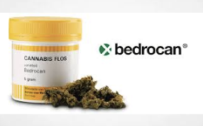 Medical Cannabis Company Bedrocan & Associations Open Letter To Bundestag "Commercial activities that damage the reputation of the serious use of cannabis as a medicine must be inhibited"