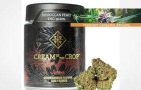 Notification of Voluntary Product Recall  January 2, 2025 ...voluntary recall for multiple Cream of the Crop flower product(s) due to the presence of Aspergillus spp. and due to inaccurate labeling, that reports more cannabinoid content than the product contains.