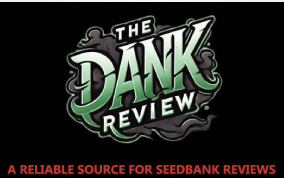 Who is The Dank Review and Why They’re a Trusted Source for Cannabis Seed Bank Reviews