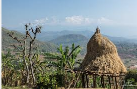 Nepalese Police seize 670kg cannabis hidden in haystack in Saptari