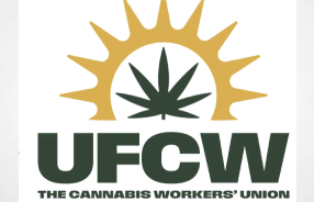 Nevada Cannabis Workers at Ayr Wellness Ratify 1st Union Contract