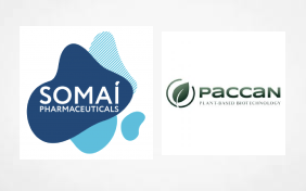 SOMAÍ Pharmaceuticals and PACCAN Join Forces to Transform Medicinal Cannabis in Asia and Beyond