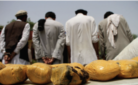 Bust in Khost: Afghan Police Seize 43 kg of Hashish and Arrest Smuggler