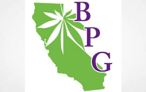 Media Report: The Berkeley Patients Group dispensary the oldest continuously running in the US,  faces 3 lawsuits claiming it hasn’t paid its bills