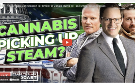 Shane Pennington's Pissed On Dales Report Re Cannabis Re-Scheduling Hearings