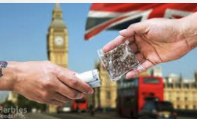 Understanding the Legality of Buying Cannabis Seeds in the UK