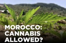 Can I Visit Morocco & Bring My Medical Cannabis Prescription With Me?