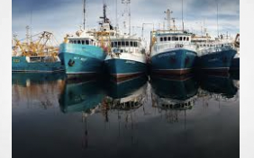 India - Tamil Nadu: Hashish Meant For Maldives Seized In Thoothukudi Old Port