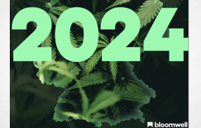 Press Release: New Report: Medical Cannabis Prices in Germany Dropped in 2024, and Self-Paying Patients Reaped the Benefits 