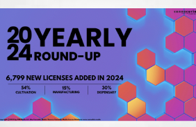 Cannacurio  Publish Their 2024 Yearly Round-Up - "6,799 new licenses were issued for all activities in 2024, up from 5132 in 2023."