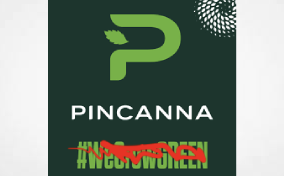 Michigan cannabis company Pincanna cuts jobs