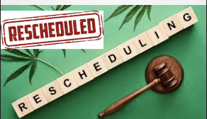 Vicente: Cannabis Rescheduling Hearings Postponed: How Did We Get Here and What Happens Next?