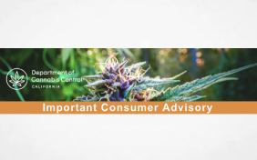 Notification of Voluntary Product Recall  February 5, 2025 - multiple Canna America live resin integrated vaporizer product(s) due to invalid batch testing