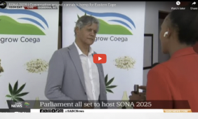 South Africa: SONA 2025 | Conversation around cannabis, hemp for Eastern Cape