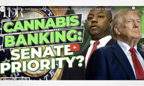 So.. They Did Discuss Cannabis Banking At The De-Banking Hearings