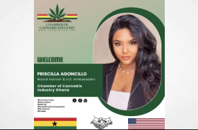 Chamber of Cannabis Industry Ghana Appoints Priscilla Agoncillo as Board Advisor & U.S. Ambassador